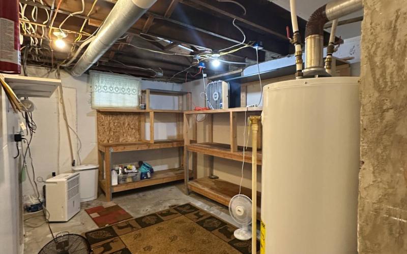 Basement Storage Area
