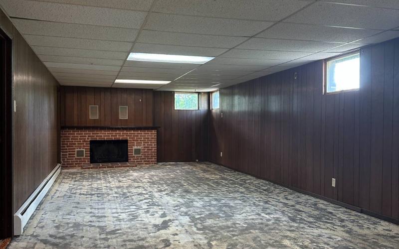 Basement Living Room