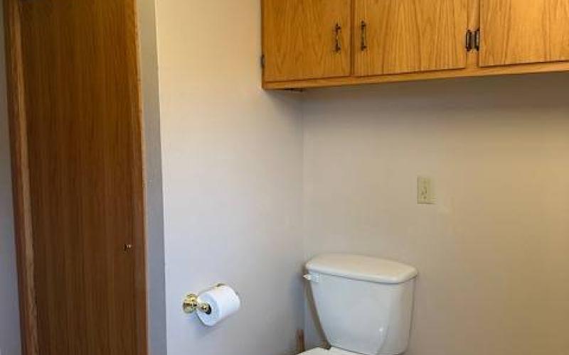 Basement Full Bath View 2