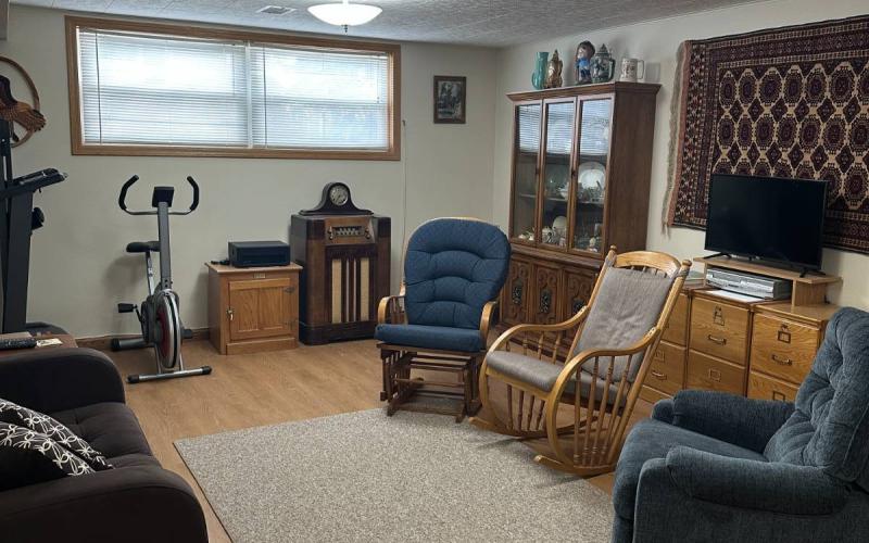 Basement Living Room