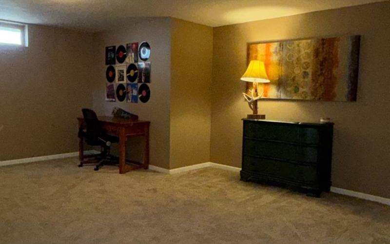 Basement Living Room View 2