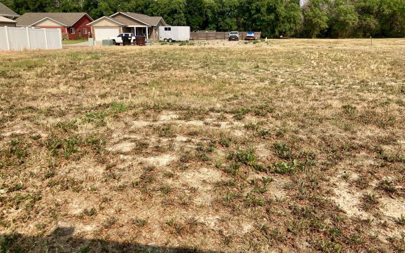 Back view of Lot#22