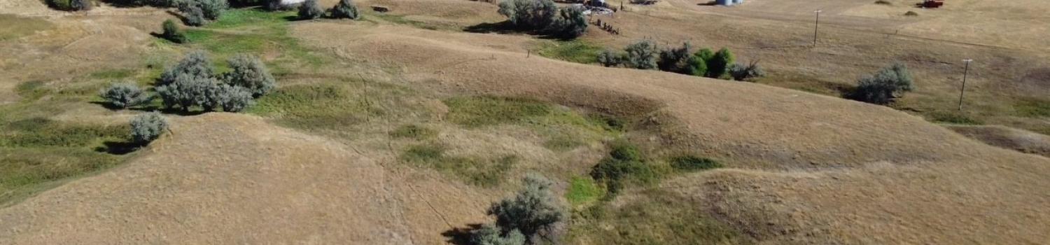 The Putnam Ranch